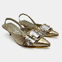 Kiara Golden Silver